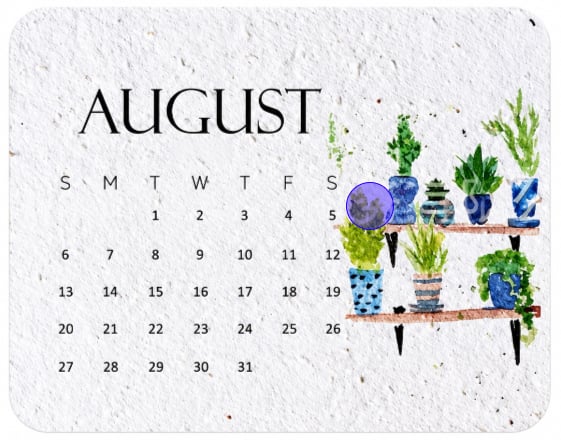 š± 2027 Plantable Calendar ā Use It. Plant It. Watch It Grow.