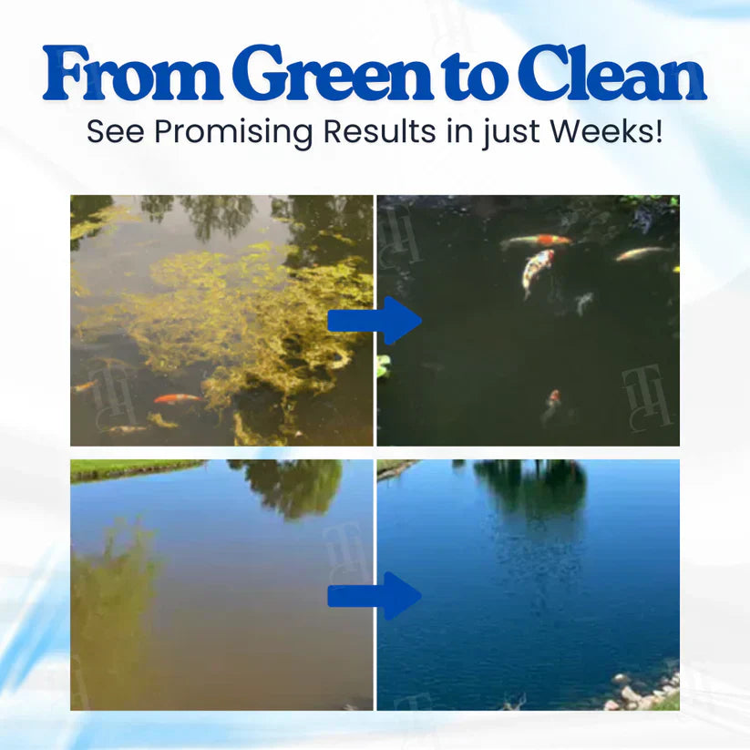 IEY® Aqua-Sentra Pro Formula– End Algae Nightmares, Restore Your Pond’s Beauty Fast!