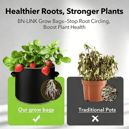 Healthier Roots Stronger Plants
