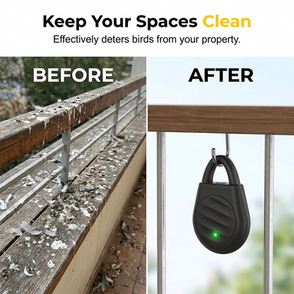 Bird mess before and cleaner outdoor space after